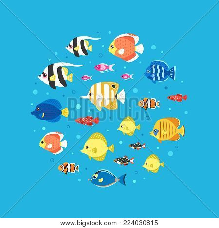 Colorful fish and bubbles flat style circle vector illustration.
