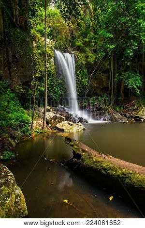 urtis Falls a popular waterfall in Tamborine National Park on Mount Tamborine in the Gold Coast Hinterland, Queensland, Australia