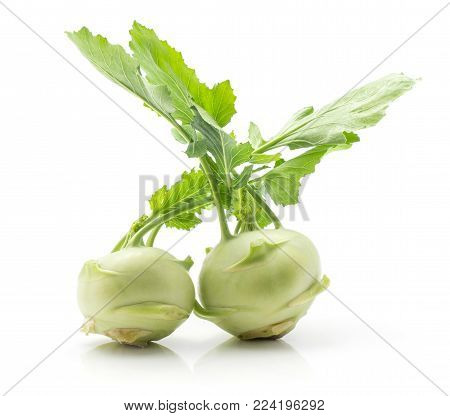 Kohlrabi (German turnip or turnip cabbage) two raw bulbs with fresh leaves isolated on white background