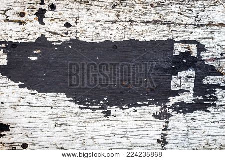 Old White Wood On A Texture Background