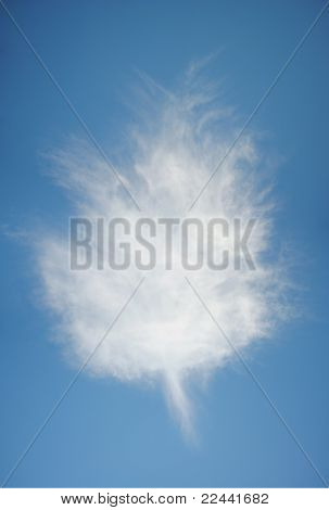 Maple Leaf Cloud