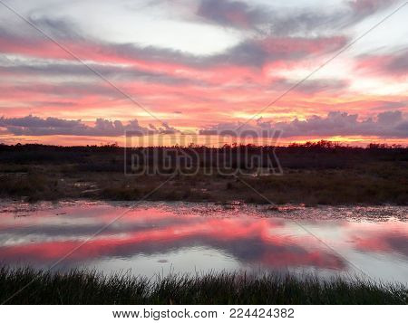 Pink And Orange Swamp Sunset