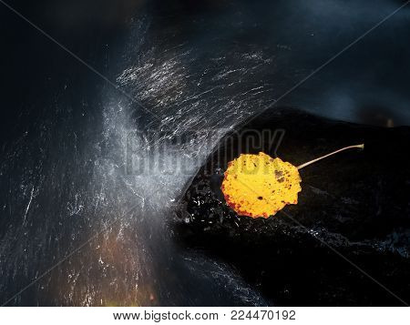 Colorful leaf from aspen tree on basalt boulder in blurred mountain rapid stream. Blue blurred waves, milky smoky water with reflections.