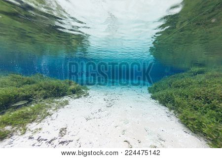 Divers Underwater Caves Diving Ginnie Springs Florida Usa