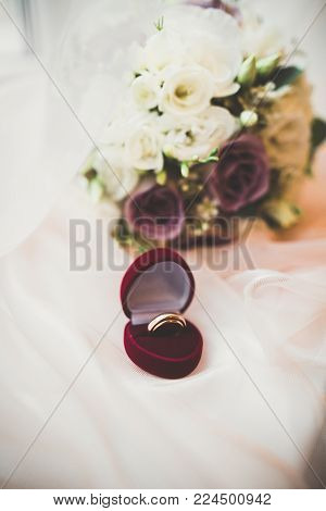 Two golden wedding rings isolated background concept.