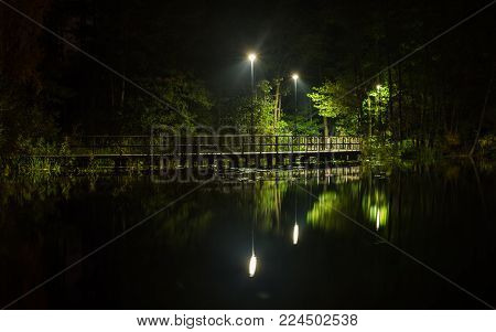 reflection of a forest bridge in a lake