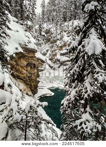 Icy Sunwapta Falls in Winter surrounded my snowy trees