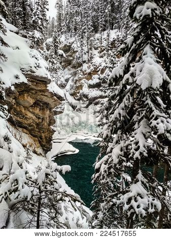 Icy Sunwapta Falls in Winter surrounded my snowy trees