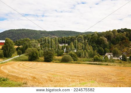 Heddal village on hills in Norway, horizontal picture.