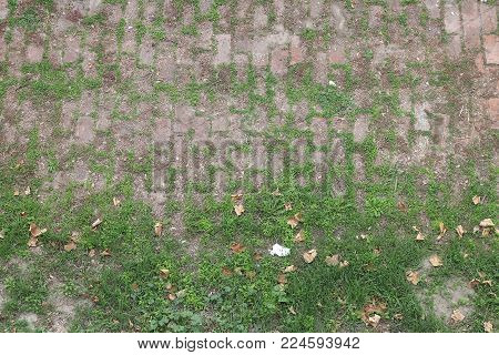 Grassy dirty old city walking path vintage