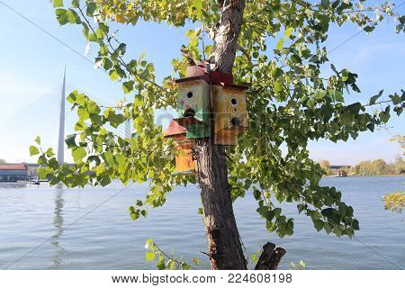 Bird house river atmosphere city break sunny day natural environment
