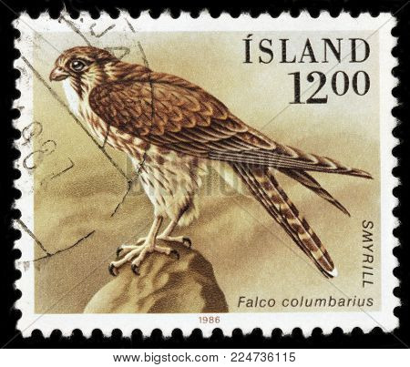 LUGA, RUSSIA - JANUARY 16, 2018: A stamp printed by ICELAND shows the Merlin (Falco columbarius) - a small species of falcon once known colloquially as a pigeon hawk, circa 1986