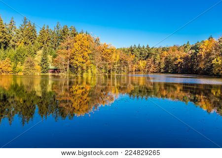 Svycar Pond And Beautiful Colorful Autumn Beeches - Voderady Beechwood, Czech Republic