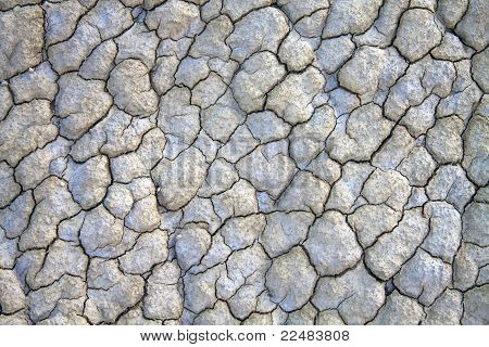 Dry Cracked Land