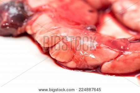 gut fish blood over a white background .