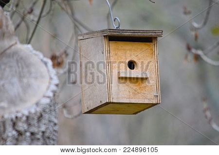 A nest made by man, hanging on a tree to promote the breeding of birds in freedom