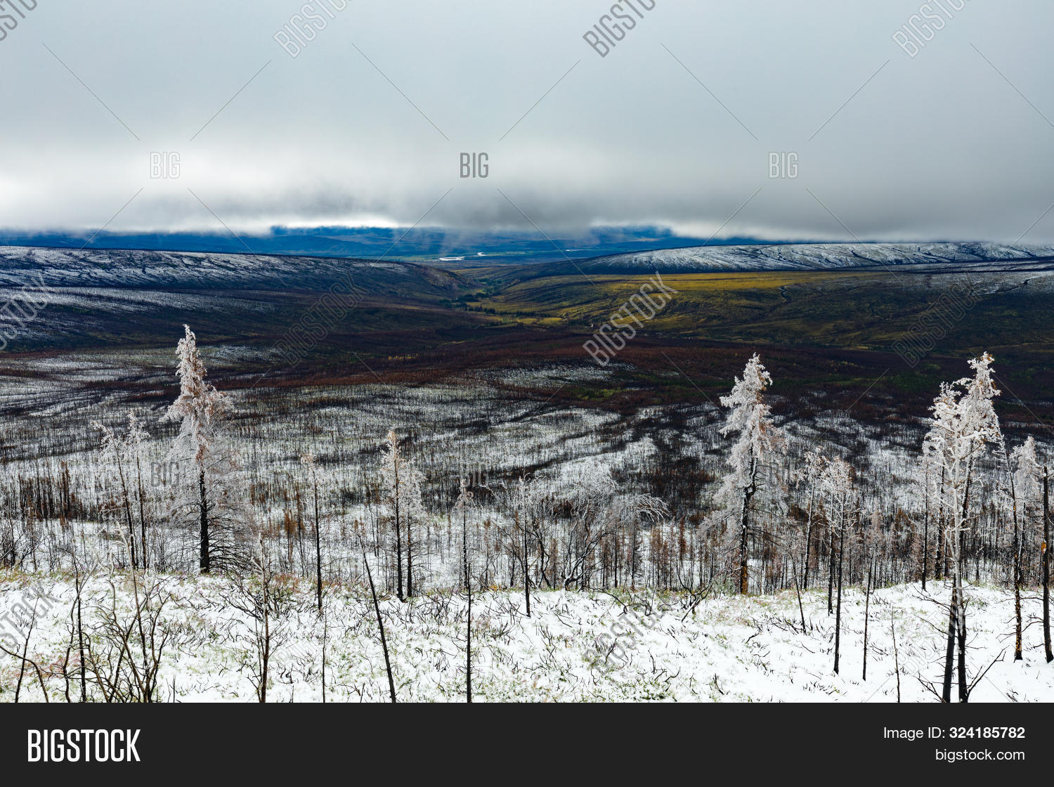 Late August Snow On Image & Photo (Free Trial) Bigstock