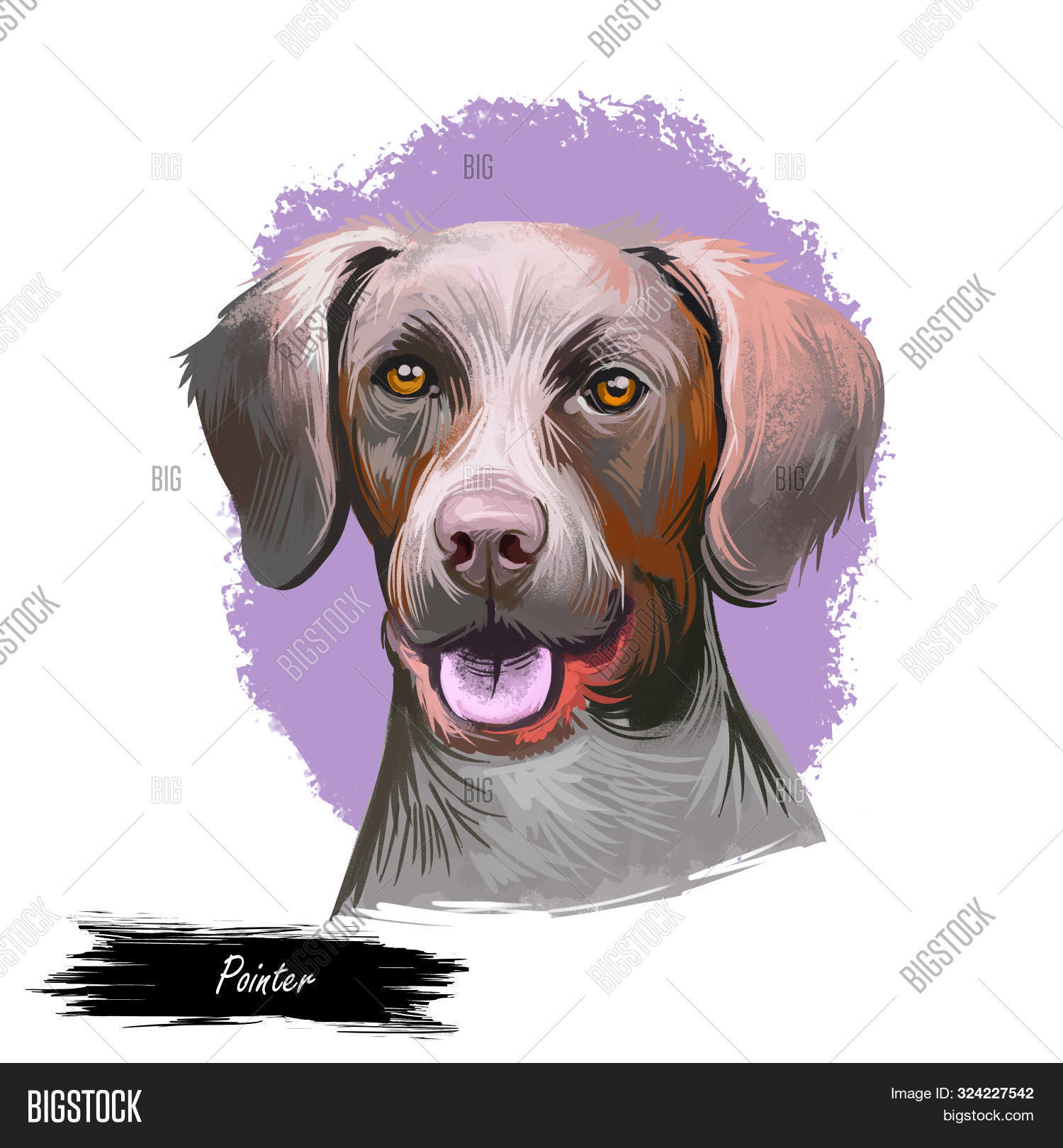 Pointer Dog Portrait Image & Photo (Free Trial) | Bigstock