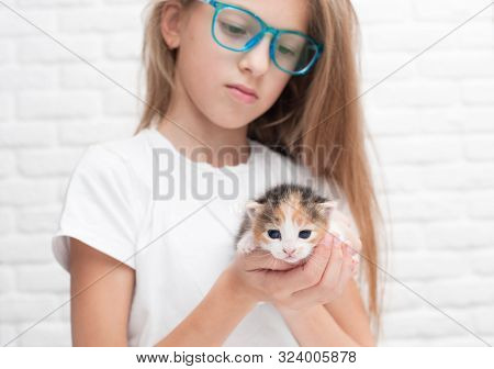 Beautiful Careful Girl In Glasses Holding Small Kitty In Her Hands With Care And Tenderness