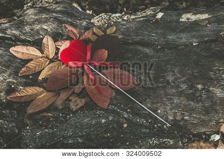 Memento Concept With Red Velvet Heart Lying On Autumn Leaves And Wooden Log