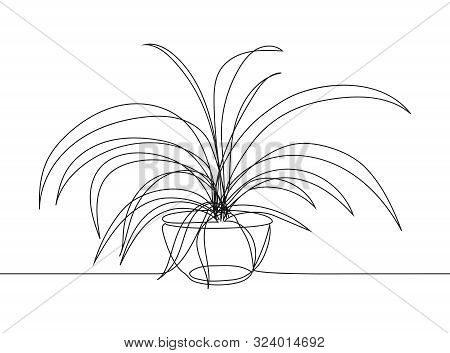 Continuous Line Drawing Sketch Of Chlorophytum. One Line Drawing House Plant In Pot.