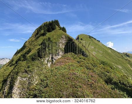 Tierberg Mountain Above The Oberseetal Valley And In The Glarus Alps Mountain Masiff, Nafels (näfels