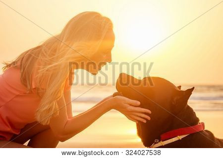 Cane Corso And Trainer Dog Chew Toy At Sea Beach At Sanset