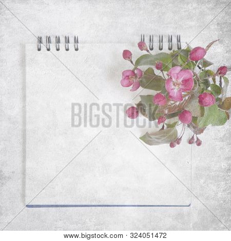 Sketchpad With Flowers Of An Apple-tree Of Nedzvetsky (malus Niedzwetzkyana Dieck) Isolated On White