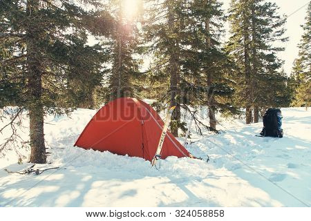 Touristic Tent In Winter Firry Forest In Ski Tour