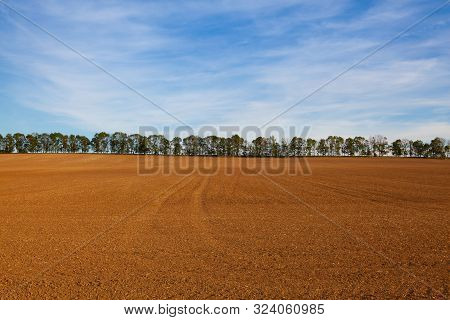 The Field After Harvesting In Sunny Day.czech Republic