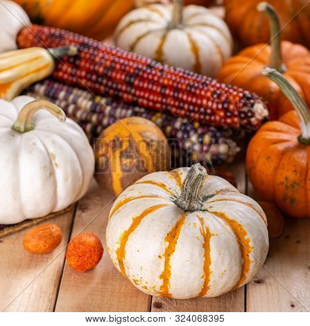 Closeup Of An Assortment Of Mini Pumpkins And Indian Corn On A Rustic Wooden Table