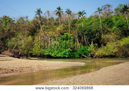 Cola Colva Beach In Paradise Goa Copyspase