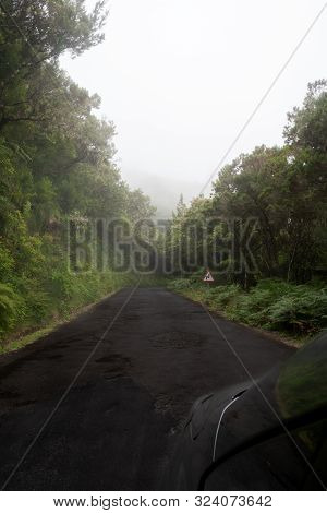 Foggy Road To Cross Encircled In The Forest In Madere