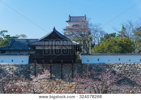 Fukuyama Castle With Sakura Blooming Season