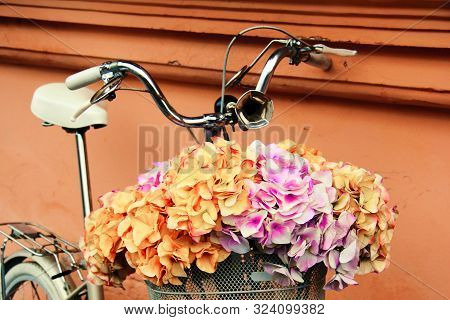 Flowers In A City Park. Street Decor.