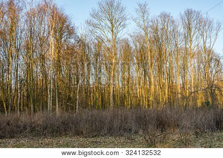 Autumn Scene With Red Yellow Brown And Orange Colors The Change Of Seasons