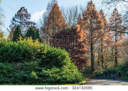 Autumn Scene With Red Yellow Brown And Orange Colors The Change Of Seasons