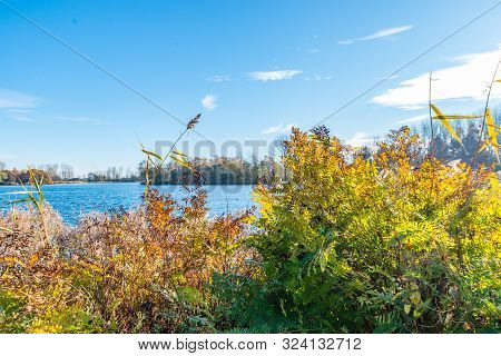 Autumn Scene With Red Yellow Brown And Orange Colors The Change Of Seasons