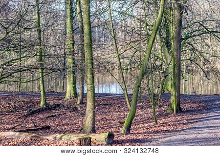Autumn Scene With Red Yellow Brown And Orange Colors The Change Of Seasons