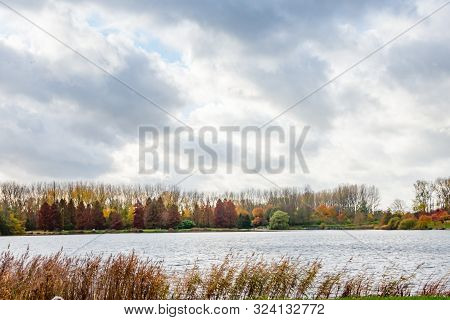 Autumn Scene With Red Yellow Brown And Orange Colors The Change Of Seasons