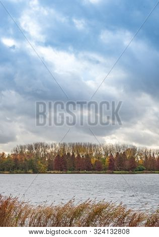 Autumn Scene With Red Yellow Brown And Orange Colors The Change Of Seasons