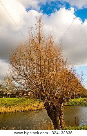 Autumn Scene With Red Yellow Brown And Orange Colors The Change Of Seasons