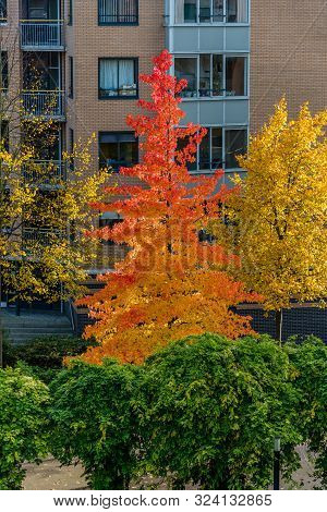Autumn Scene With Red Yellow Brown And Orange Colors The Change Of Seasons