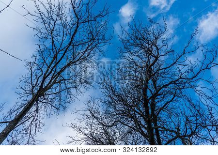 Autumn Scene With Red Yellow Brown And Orange Colors The Change Of Seasons