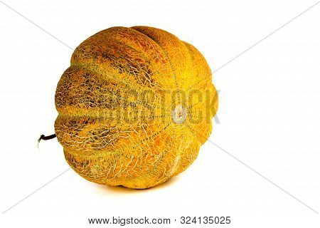 Melon Isolated On White Background. Copy Space For Text