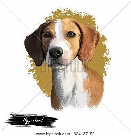 Hygenhund, Hygen Hound Dog Digital Art Illustration Isolated On White Background. Norwegian Origin M