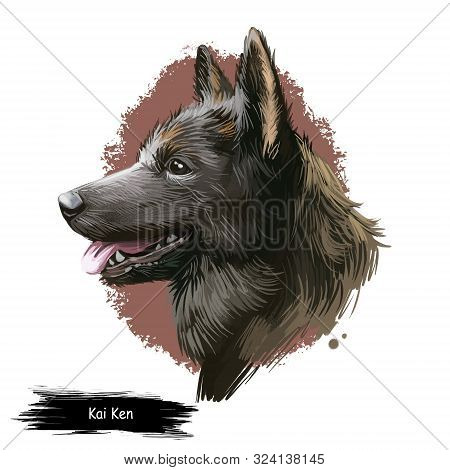 Kangal Dog, Kangal Shepherd Dog, Sivas Kangal, Turkish Kangal, Anatolian Shepherd Dog Digital Art Il