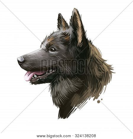 Kai Ken, Tora Dog, Kai Dog Digital Art Illustration Isolated On White Background. Japan Origin Asian