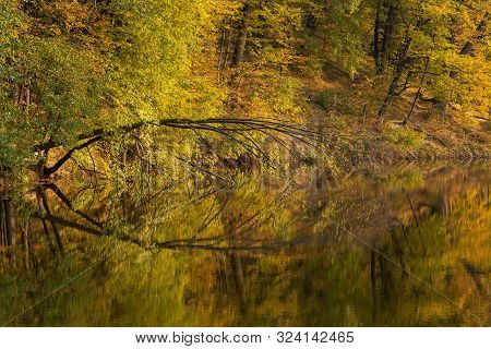 Evening In The Autumn City Park.
Trees Are Reflected In The Pond. Ukraine, Kyiv. 