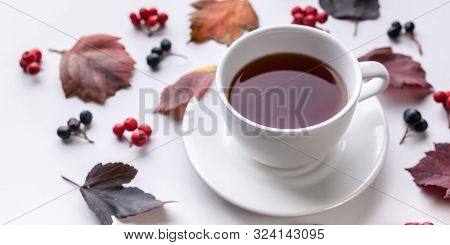 Banner: White Tea Mug, Leaves And Berries. Autumn Composition. Red Foliage, Ceramic Teacup And Small